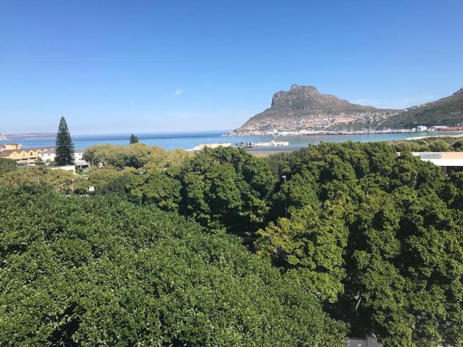 Apartament Chapman'S Peak, Loft Mit Sea-Und Mountainview Hout Bay Zewnętrze zdjęcie